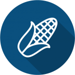 nts_icon_lebensmittel